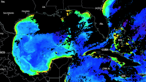 MODIS Chlorophyll-a concentration in the Mexican Gulf, 14 August 2019